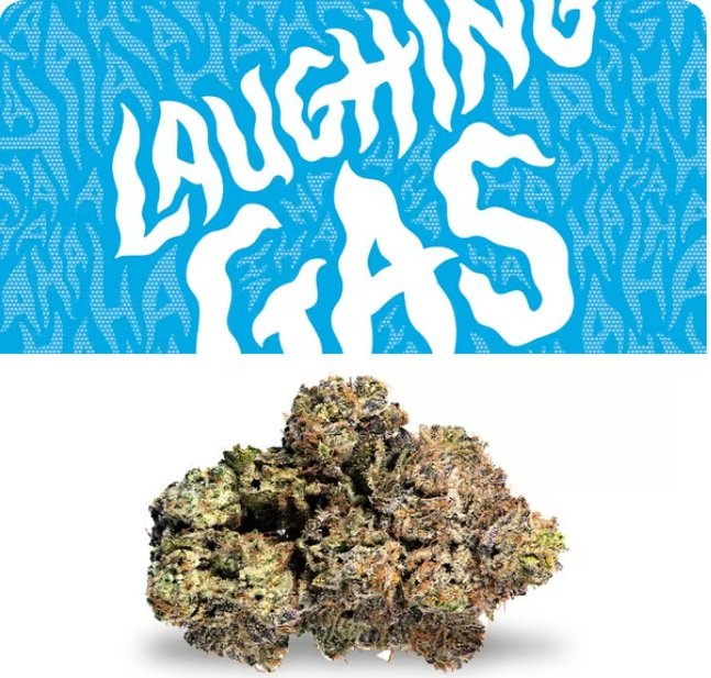 Laughing Gas