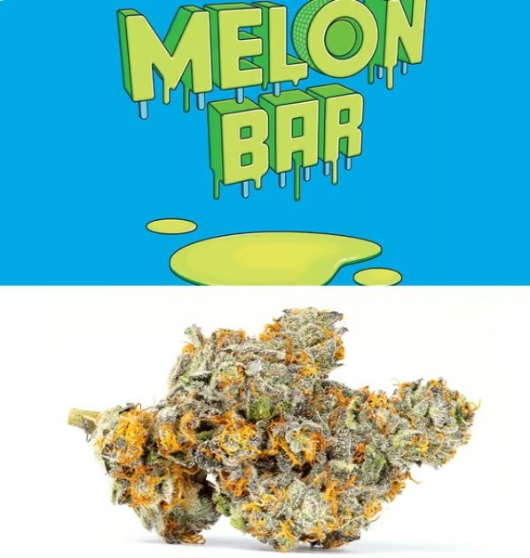 Melon Bar